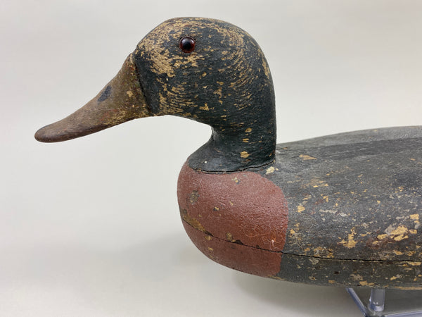 William Lohrman Mallard Drake (#9660)