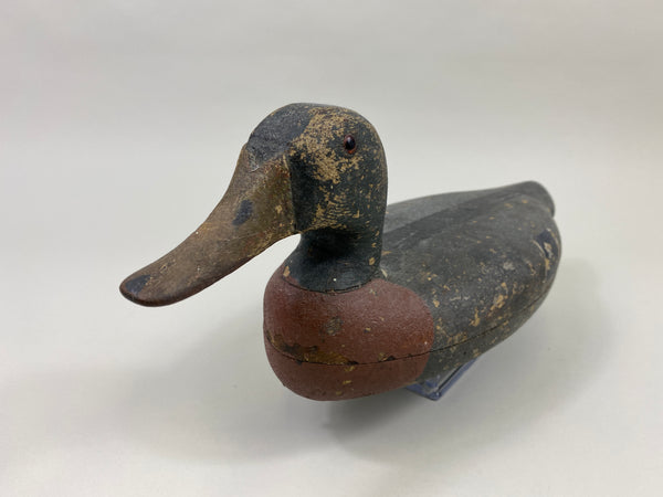 William Lohrman Mallard Drake (#9660)