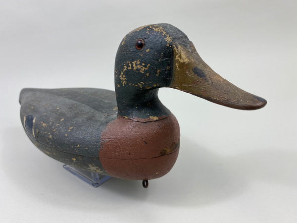 William Lohrman Mallard Drake (#9660)