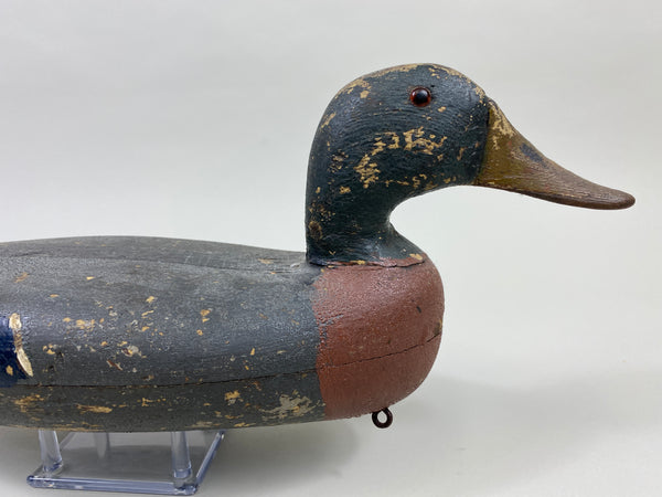 William Lohrman Mallard Drake (#9660)