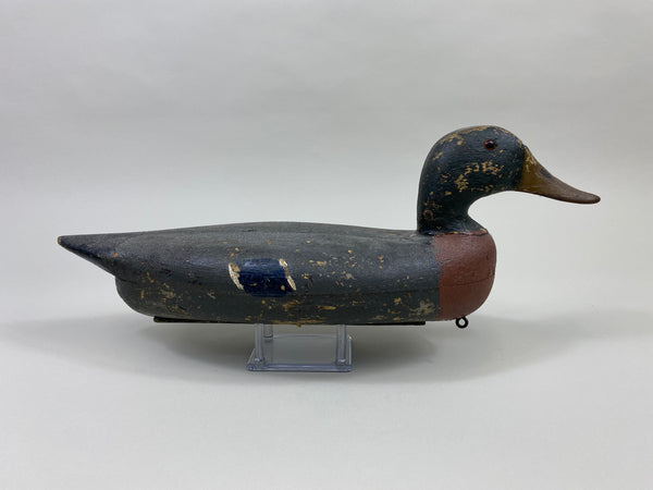 William Lohrman Mallard Drake (#9660)