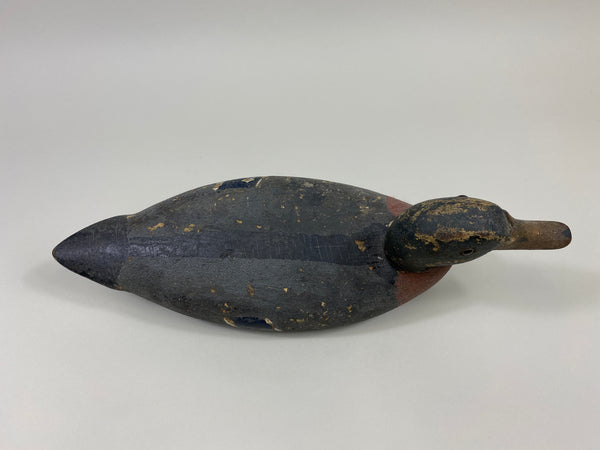 William Lohrman Mallard Drake (#9660)
