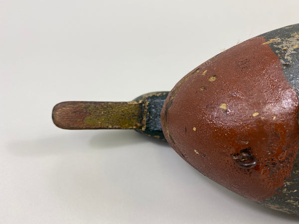 William Lohrman Mallard Drake (#9660)