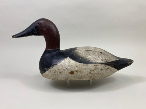 Ray Thompson Canvasback Drake (#9668)
