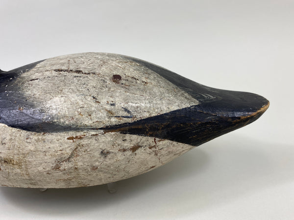 Ray Thompson Canvasback Drake (#9668)