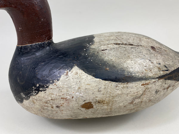 Ray Thompson Canvasback Drake (#9668)
