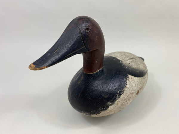 Ray Thompson Canvasback Drake (#9668)