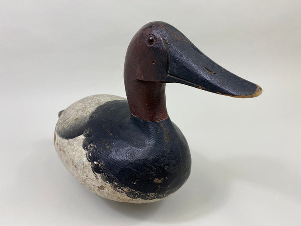 Ray Thompson Canvasback Drake (#9668)