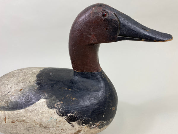 Ray Thompson Canvasback Drake (#9668)