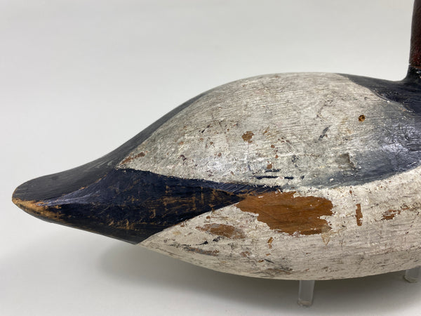Ray Thompson Canvasback Drake (#9668)