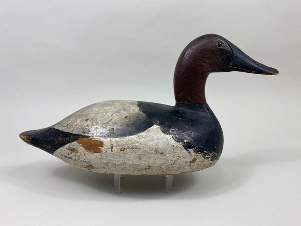 Ray Thompson Canvasback Drake (#9668)