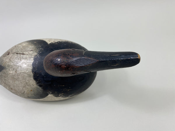 Ray Thompson Canvasback Drake (#9668)