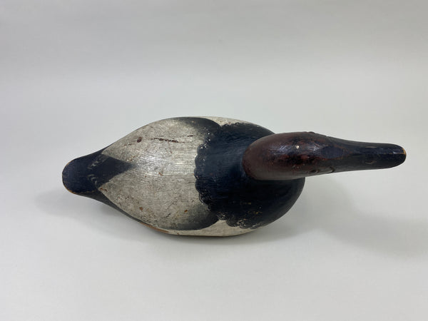 Ray Thompson Canvasback Drake (#9668)