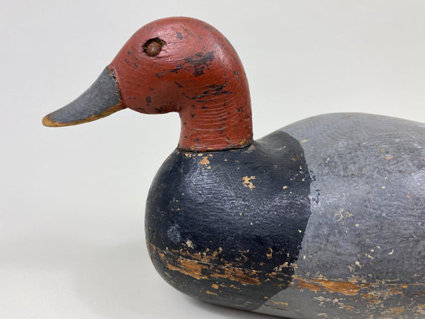 Unknown Ohio Redhead Drake (#9689)
