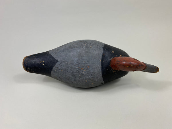 Unknown Ohio Redhead Drake (#9689)