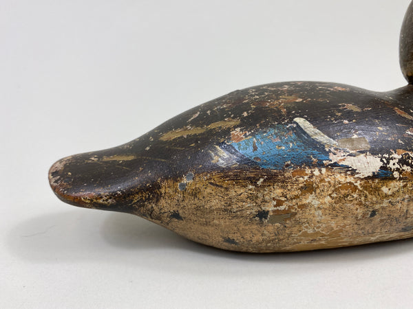 Mason Blue-Wing Teal Drake (#9698)