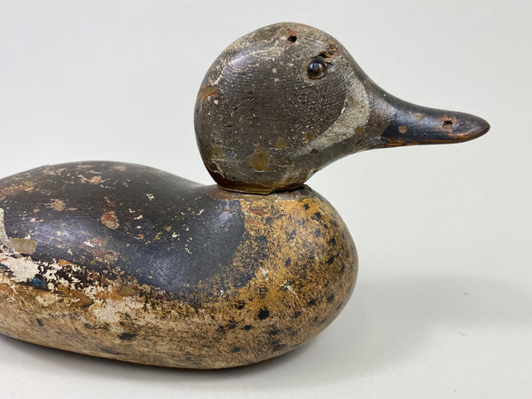 Mason Blue-Wing Teal Drake (#9698)
