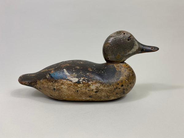 Mason Blue-Wing Teal Drake (#9698)
