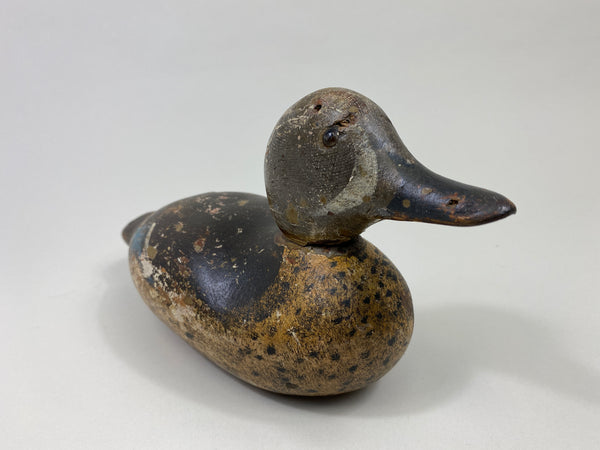 Mason Blue-Wing Teal Drake (#9698)