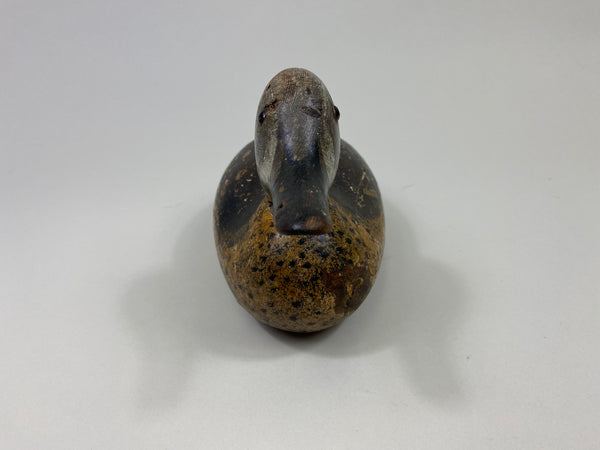 Mason Blue-Wing Teal Drake (#9698)