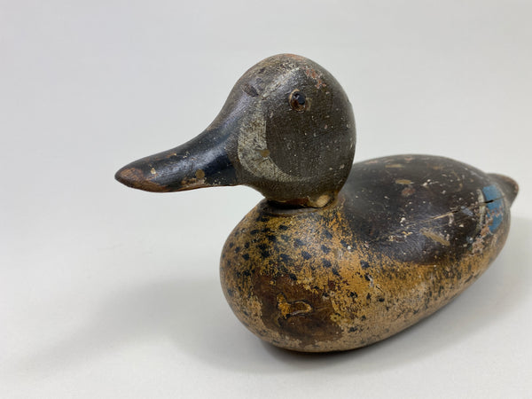 Mason Blue-Wing Teal Drake (#9698)