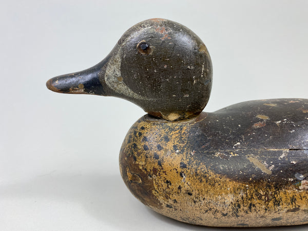 Mason Blue-Wing Teal Drake (#9698)