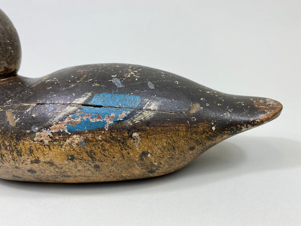 Mason Blue-Wing Teal Drake (#9698)
