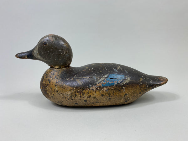 Mason Blue-Wing Teal Drake (#9698)