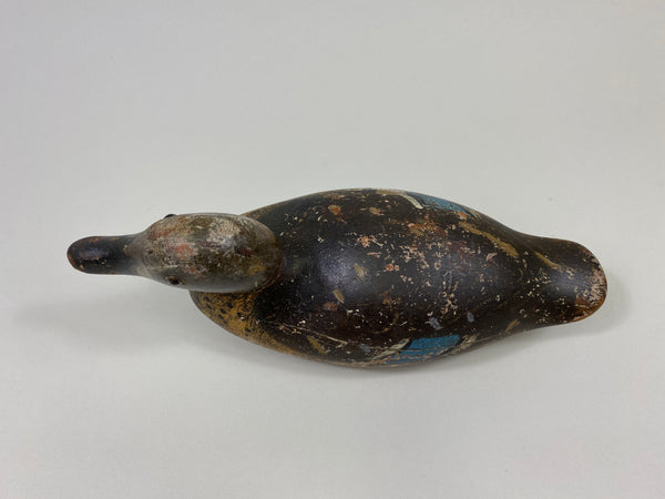 Mason Blue-Wing Teal Drake (#9698)