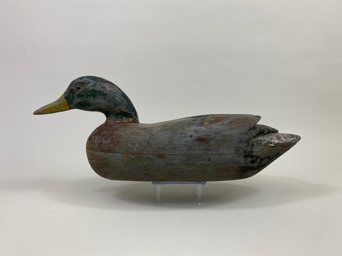 Frank Cassini Mallard Drake (#9709)