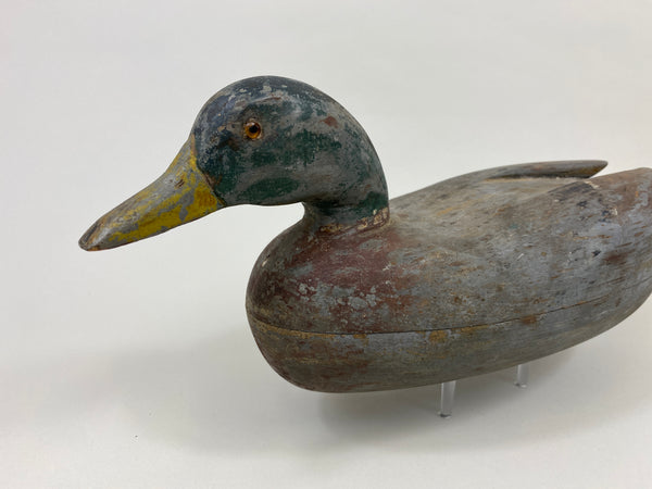 Frank Cassini Mallard Drake (#9709)