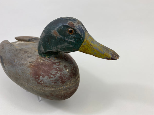 Frank Cassini Mallard Drake (#9709)