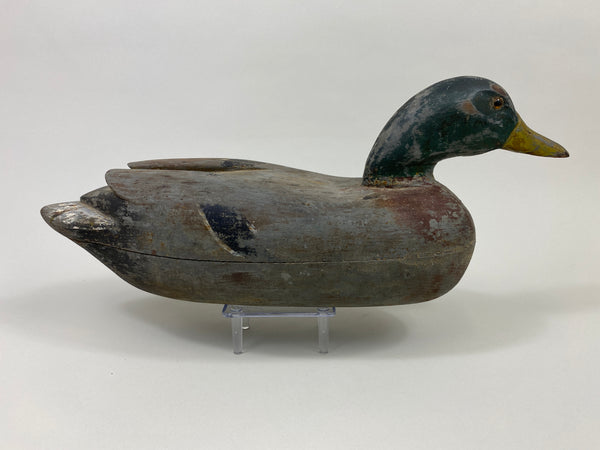 Frank Cassini Mallard Drake (#9709)