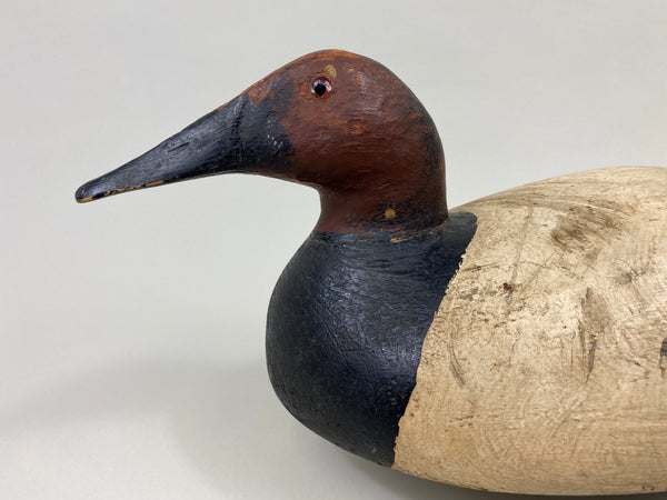 Ed "One Arm" Kelly Canvasback Drake (#9715)