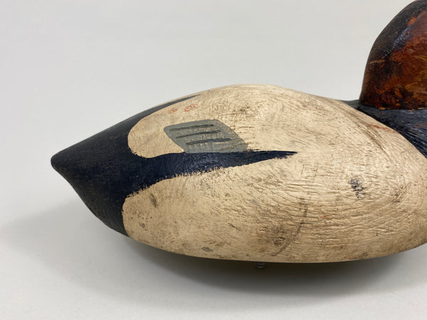 Ed "One Arm" Kelly Canvasback Drake (#9715)