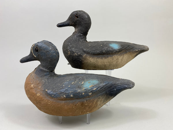 Victor Veri-Lite Paper Mache Pair of Blue-Wing Teal (#9721)