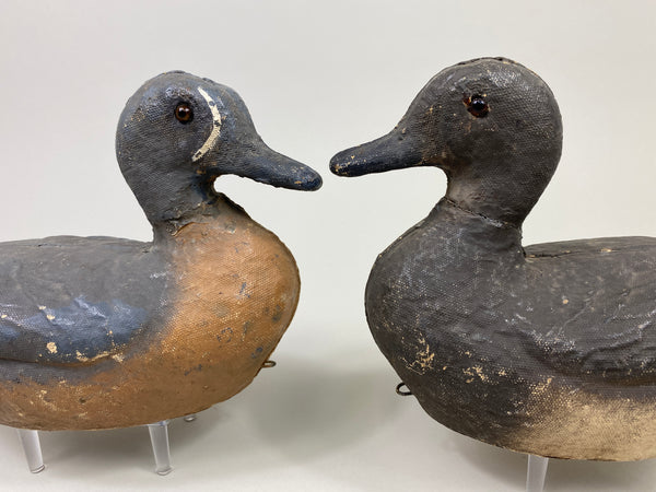 Victor Veri-Lite Paper Mache Pair of Blue-Wing Teal (#9721)