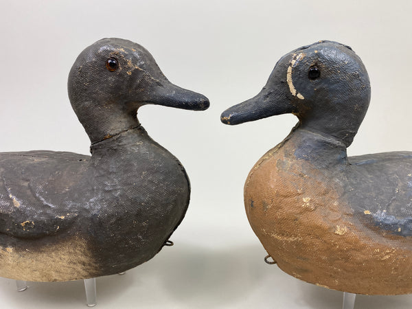Victor Veri-Lite Paper Mache Pair of Blue-Wing Teal (#9721)
