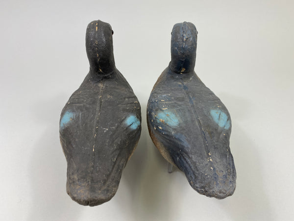 Victor Veri-Lite Paper Mache Pair of Blue-Wing Teal (#9721)