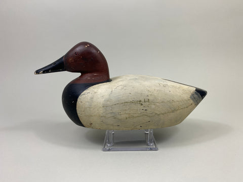 Frank Hale Canvasback Drake (#9753)