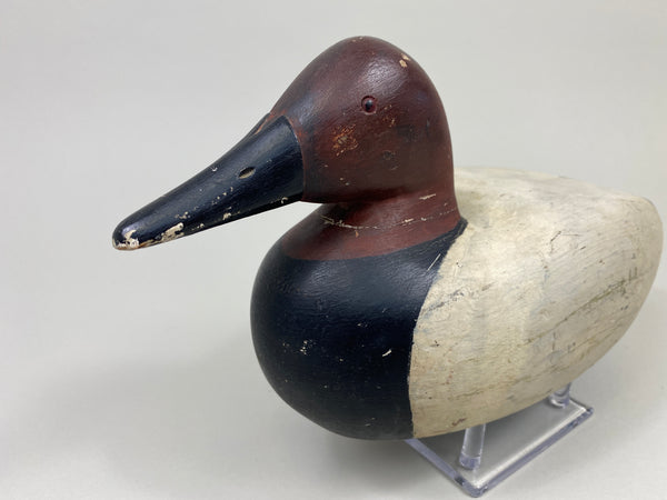 Frank Hale Canvasback Drake (#9753)