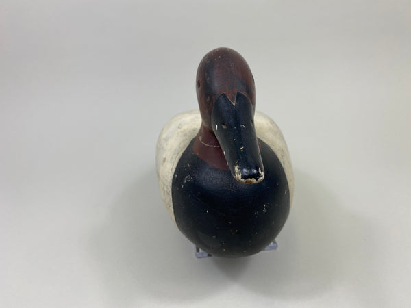 Frank Hale Canvasback Drake (#9753)