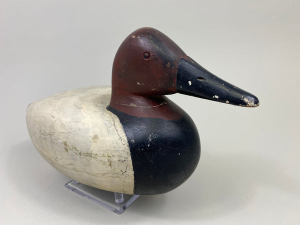 Frank Hale Canvasback Drake (#9753)