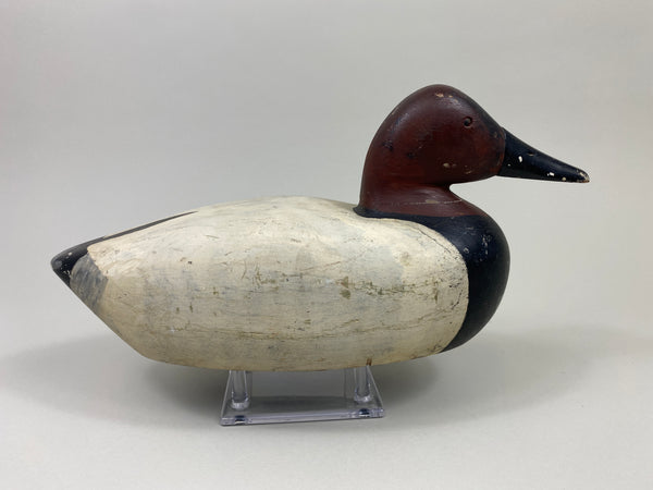 Frank Hale Canvasback Drake (#9753)