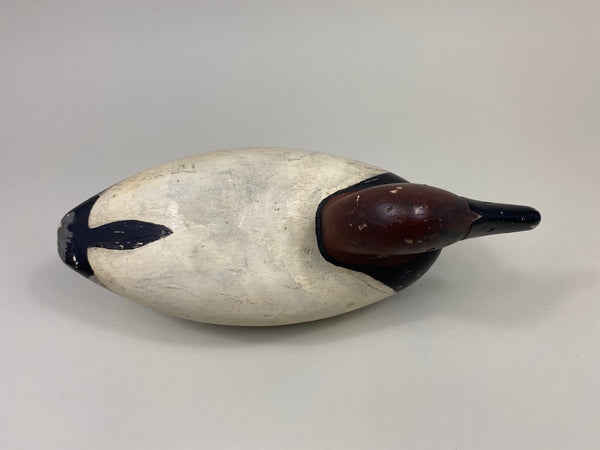 Frank Hale Canvasback Drake (#9753)