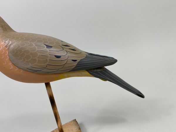 Manfred "M.K." Scheel Mourning Dove (#9767)