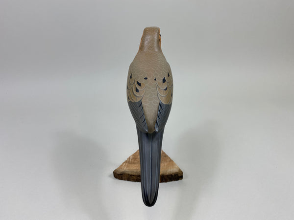 Manfred "M.K." Scheel Mourning Dove (#9767)