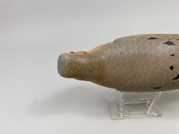 Manfred "M.K." Scheel Mourning Dove (#9767)