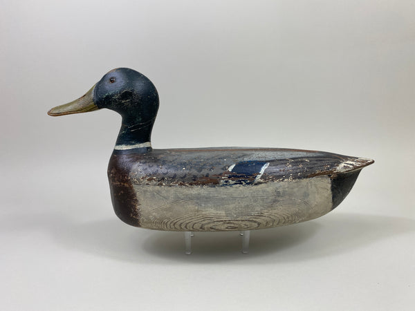 Illinois River Mallard Drake (#9805)