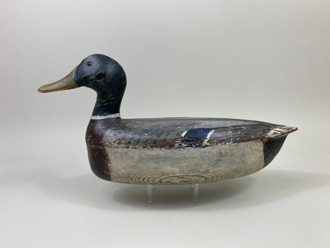 Illinois River Mallard Drake (#9805)